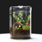 LaLaGreen Glas-Terrarium-Pflanzgefäß (15,2 x 22,9 cm), Sukkulenten-Wachstumslichter für Zimmerpflanzen, Luftpflanzenhalter, kleine Reptilien, Kaktus, Mini-Farne, Feengarten, Moos, Tischdekoration,