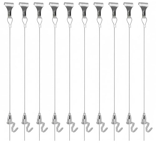 WIRSHO10 Pièces Cimaise pour Tableau | 2 m x Φ1.5 mm | Kit Accrochage de Cadre Photo et Miroir avec Crochet Réglable et Crochets de Rail pour Accrocher Peintures Œuvres d'art