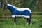 Horseware RAMBO Summer Series Turnout Übergangsdecke Regendecke (155)