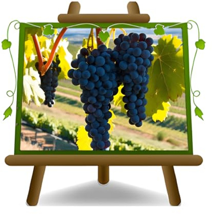 EURO PLANTS VIVAI Vite Fragola Americana - Pianta da Frutto Antico Portainnesto su Vaso da 20 - Pianta Max 170 cm - 2 Anni