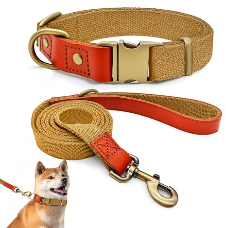 Hundehalsband und 150cm Leine Set L, Nylon Leder Khaki | Verstellbares Set 2cm Breit Für Große Hunde, Reißfester Nylon-Leder Mix, Vintage Messing-Optik Verschluss, Outdoor