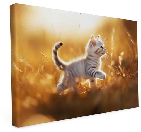 druck.de Keilrahmen Katzen und Hunde Motive, Wandbild auf Künstler Leinwand, hochwertiger Kunstdruck, Stabiler 2cm Holzrahmen mit kratzfestem 280g Canvas - Weiße Katze, 45x30 cm - Quer