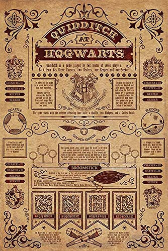 Harry Potter Poster - Quidditch at Hogwarts (61cm x 91,5cm) + a surprise poster!