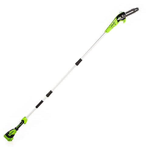 Greenworks PS24B00 8-Inch 24V Cordless Pole Saw, Tool