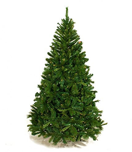 ABETE KENTUCKY CM 210