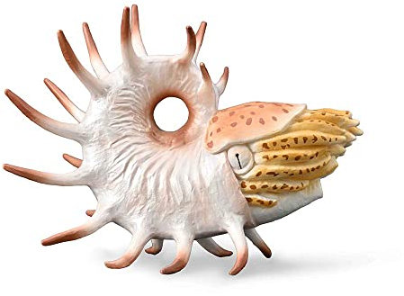 Figurine Préhistoire (XL) : Cooperoceras
