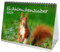 Eichhörnchenzauber DIN A5 Tischkalender für 2024 Eichhörnchen - Geschenkset Inhalt: 1x Kalender, 1x Weihnachtskarte (insgesamt 2 Teile)