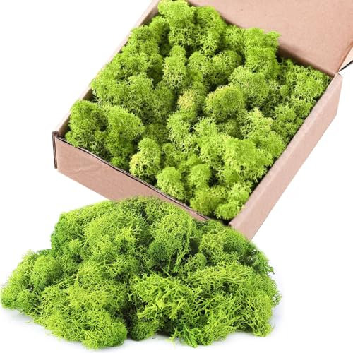 Vmxlso Moos Zum Basteln, 200g Islandmoos zum Basteln, Island Moos, Moos Deko, Konserviertes Moos, Künstliches Moos, Kunstmoos, Bastelmoos für Moosbilder, DIY Deko Oder Zum Basteln