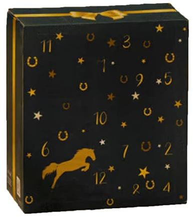 HORSE Adventskalender 2025 - Winterhimmel Design Pferd Countdown Kalender mit 24 Tagen Pferde Geschenke und Überraschungen | Ein tolles Weihnachten für Pferdebesitzer, Reiter und Ställe - Für Kinder