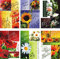 Preisjubel 100 Glückwunschkarten zum Geburtstag Blumen 51-3510 Geburtstagskarte Grußkarte