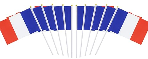 Confezione da 10 bandiere francesi francesi su bastone, 12,7 x 20,3 cm, decorazioni patriottiche, decorazione per classe, piccole mini bandiere su bastoncini, decorazioni per feste.