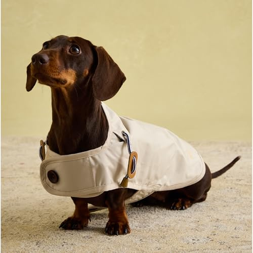 Rosewood x Joules Sandshell Raincoat for Dogs, Small, Washable, Lightweight, Water-Resistant Dog Coat for Small Dogs