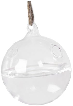 Toddmomy Vase Suspendu Transparent avec Double pour Plantes Dintérieur Terrarium Mural Décoratif pour Salon et Chambre
