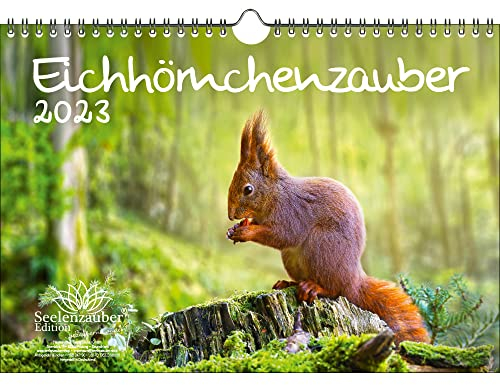 Eichhörnchenzauber DIN A4 Kalender für 2023 Eichhörnchen - Seelenzauber, mehrfarbig, KN2023-4W-0003-D-0