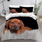 VASENA Bettwäsche Rhodesian Ridgeback Bettwäsche 135x200 Kinder Süßer Hund Tier Bettbezug Set Weich Microfaser Kinderbettwäsche 3 Teilig Mit ReißVerschluss Mit 2 Kissenbezug 80x80 cm