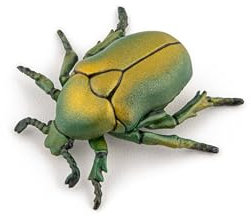 Papo - Figurines à Collectionner - Cétoine dorée - 50290 - Insecte - Animaux des Jardins - pour Enfants - Filles Et Garçons - A Partir de 3 Ans