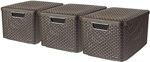 CURVER STYLE Box 3er Set S/M/L mit Deckel, dunkelbraun, 46,2 x 34,2 x 27,5 cm