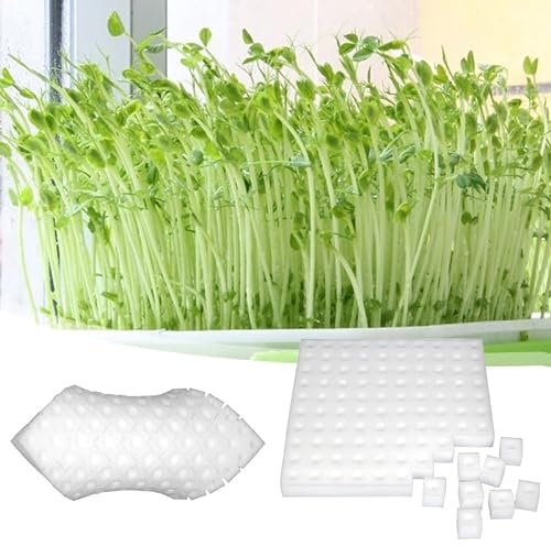 Esponjas de Plantación Hidropónicas, esponjas cuadradas para invernadero, 100 unidades, esponja hidropónica para cultivar semillas, esponjas para cultivar pequeños brotes y plántulas (blanco)