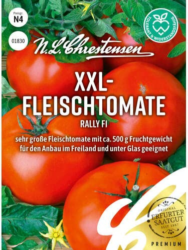 Chrestensen XXL-Fleischtomate Rally F1 Samen, Bis 500g Rot | Hitzeverträglich, Resistent TMV Pilze Nematoden, Freiland Gewächshaus, Lycopersicon esculentum Saatgut, Flachrund, Beefsteak