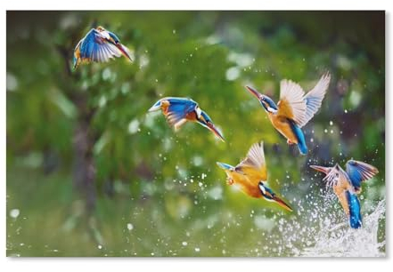 Papier Puzzle Puzzle 1000 Stück，Eisvogel berührt Wasser，Puzzles Lernspielzeug Für Erwachsene Geburtstagsgeschenk Home Decoration（38x26cm）-247