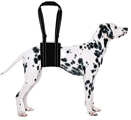 Hundegeschirr Tragehilfe Einstellbar Hunde Gehhilfe Weiche Rehabilitation Tragegurt für Kleine Mittel Große Hunde Schwache Hinterbeine Senior Verletzte Behinderte (L)