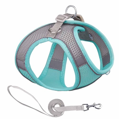 Monkimau Atmungsaktives Hundegeschirr mit Leine | Mesh und Nylon | Ideal für kleine Hunde und Katzen | Größe XXS bis L (Grün-Grau, M)