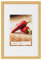 walther design BP710G Peppers Bilderrahmen, Holz, 7 x 10 cm, gold