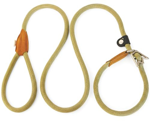 Rudelkönig Retrieverleine Tilda mit Zugstopp - Moxonleine 180 cm Nylon | Schlupfleine mit Leder & rostfreien Metallteilen – für mittelgroße & große Hunde ab 10 kg