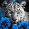 DPIDEA Diamond Painting Leopard, Diamant Painting Bilder für Erwachsene DIY 5D Diamant Painting Leopard Diamant Malerei, 5D Diamond Painting für Zuhause Dekor 30x30 cm