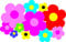 Multi Coloured Daisy Stickers - Large Pack 50+ Flowers