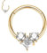 16G Septum Schmuck Gold Septum Clicker Ringe Daith Ohrringe Chirurgenstahl mit CZ Septum Hoop Ring Daith Piercing Schmuck Rook Ohrringe Conch Nose Hoop Ring Tragus Knorpel Helix Ohrringe 8mm