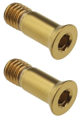 eMagTech 2 Stück Titanlegierung Befestigungsschrauben Fahrrad Schaltwerk Bolzen Fahrrad Schaltwerk Führungsrad Befestigungsschraube für Rennrad Mountainbike Gold