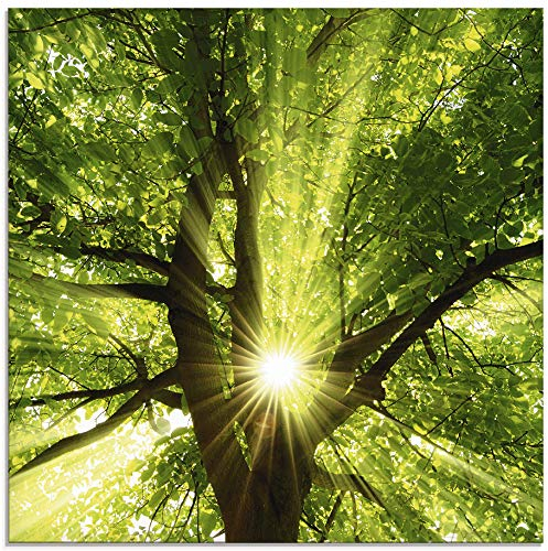 ARTland Wanddeko Glasbilder Wandbild Glas Bild einteilig 50x50 cm Quadratisch Wald Natur Botanik Bäume Laubbaum Sonne Baum Sommer T5GQ