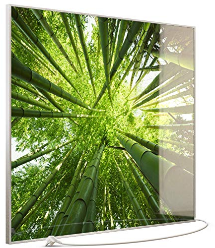 STEINFELD Heizsysteme® XXL Infrarot Glasheizung mit Bild und TS11 WiFi Thermostat | Made in Germany | Motive 023 Bambusbaum (1200 Watt, silber/Alu)
