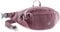 Deuter Unisex Belt I Hüfttasche, Maron, 1 5 L EU