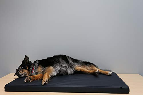Beckers Beste Tiernahrung - Hundebett für kleine und Grosse Hunde aus Kunstleder in beige 50cm x 40cm x 5cm - Hundekissen rutschfest und waschbar - Für Auto, Hundebox oder als Hundematte für Zuhause