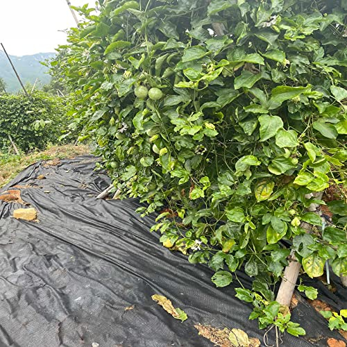 Artillen Unkrautvlies inkl.6 vlieshaken, Anti-unkraut-vlies 30g/m² Unkrautschutzvlies Wasserdurchlässig, Reißfestes Unkrautsperre für Garten Hochbeet Gewächshaus (Schwarz)