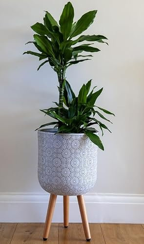 35cm Flower Patterned Planter on Legs - White - Indoor Plant Pot Stonelite