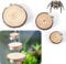 3stk Gehegeleisten für Springspinnen, Magnetisch Gehegeleisten für Springspinnen Lebensraum für Springspinnen Gehegezubehör für Springspinnen Springspinne Terrarium Zubehör (Rund)