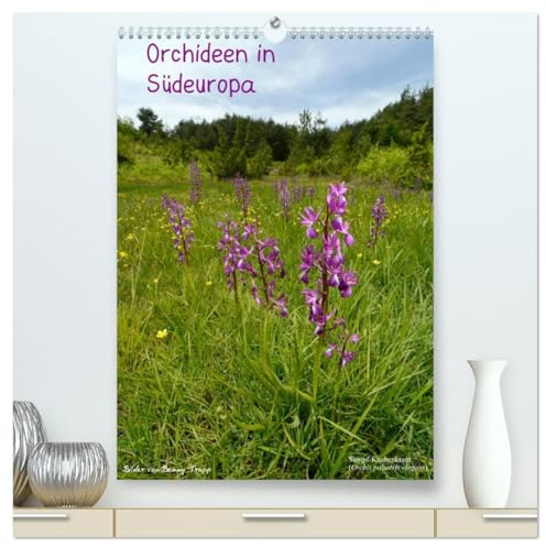 Orchideen in Südeuropa (hochwertiger Premium Wandkalender 2026 DIN A2 hoch), Kunstdruck in Hochglanz (CALVENDO Natur)