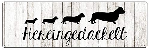METALLSCHILD Blechschild HEREINGEDACKELT Türschild Hund Dog Dackel Haustür Eingang