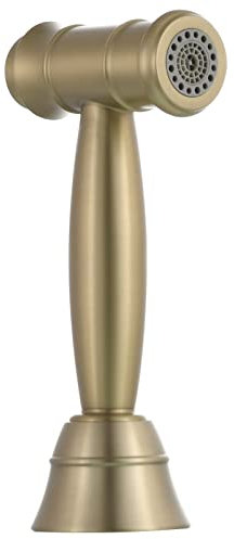 Tecmolog Alcachofa Cocina Fregadero Acero Inoxidable Ducha Grifo Cocina Extraible con 2 Modos Recambio, Oro Cepillado, WS030AJF