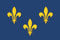 U24 Drapeau ILE de France Fleur de LYS de qualité supérieure 100 x 150 cm