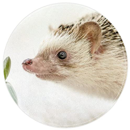 VBFOFBV Teppiche für Schlafzimmer, Ultra-luxuriöser, weicher und Dicker, Rutschfester Teppich für Kinder, Babyzimmer, Kinderzimmer, moderner Dekorteppich,Tierischer Igel