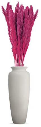Generisch Pampasgras groß 20 Stiele Trockenblumen zum basteln Bunte Farben Trockenblumenstrauß Boho deko Trockenblumen Deko Pampasgras Pflanze echte Blumen getrocknet im Set (Pink)
