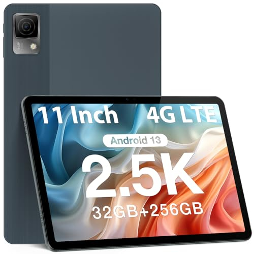 DOOGEE T30 Ultra Tablet PC, G99 Octa-Core 32GB RAM + 256GB ROM (TF 2TB), Batteria 8580mAh /18W, 11 Pollici TÜV SÜD, 2.5K 1600 * 2560, Dual 4G LTE/SIM, 16MP + 8MP, Android 13, Widevine L1 Grau
