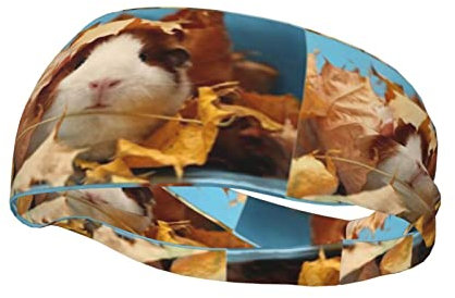 Sport-Stirnbänder, Tiere, niedliches Meerschweinchen, Unisex, Schweißband, Yoga-Headwraps