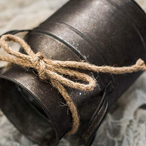 Bonbela Garden Metal Plant Pots Vintage Milk Churn Flower Bucket Hanging Flower Holder (Black)