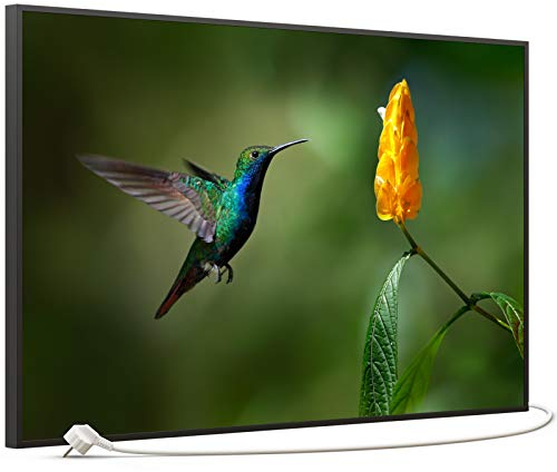 STEINFELD Bild Infrarotheizung mit Thermostat | Made in Germany | viele Motive 350-1200 Watt Rahmen schwarz (600W, 048 Kolibri)