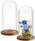 Mezchi 2 Pack Glass Cloche Display Dome, 9.8x4.7 inch Decorative Glass Bell Jar, Clear Glass Dome Showcase with Dark Brown Wooden Base, for Plants, Medals, Photos, Antique Collectibles